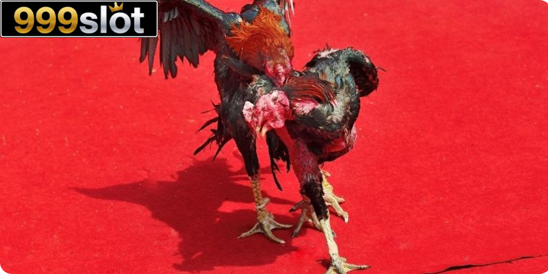 Huấn luyện bài bản thường xuyên