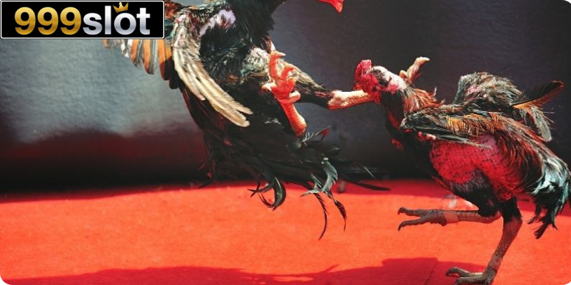 Quản lý trạng thái và môi trường sống tốt